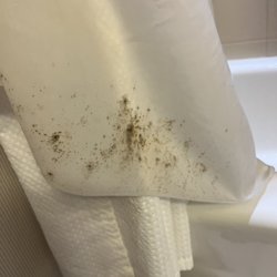Courtyard by Marriott Casper - Mold from the shower curtain
