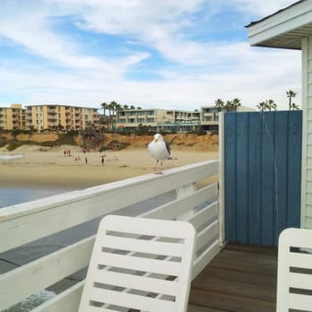 The Crystal Pier Hotel - Footless seagull - Hotels Near Me - San Diego, California The Crystal Pier Hotel - Footless seagull - Hotels Near Me - San Diego, California