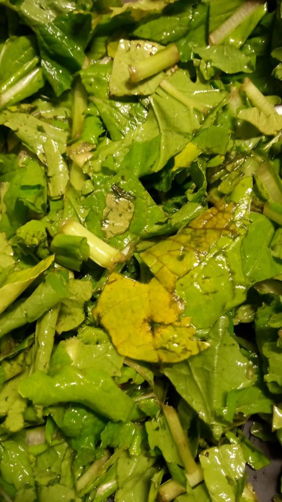 BAKER FARMS Updated October 2024 3667 Ellenton Norman Park Rd, Norman Park, Fruits