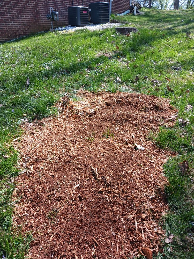 Yard Pro - tree service in Loudon, TN