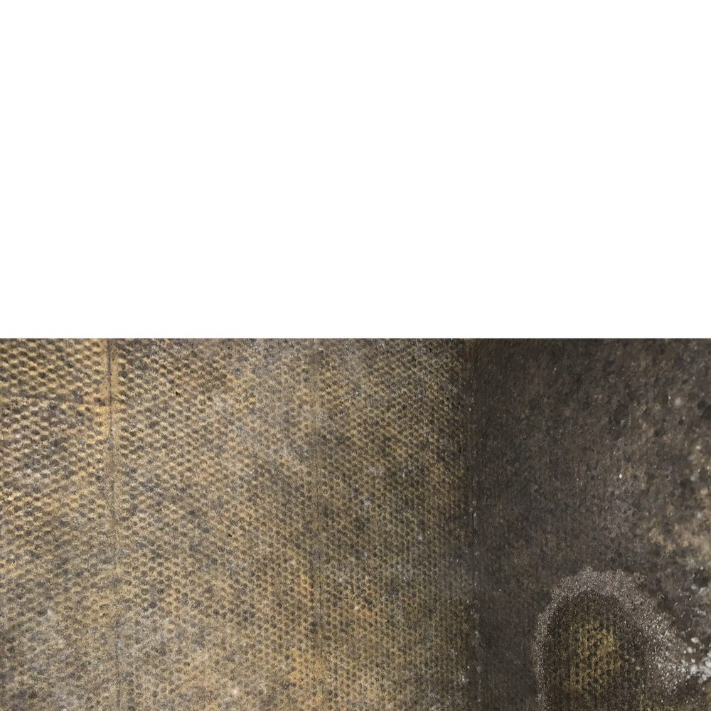 TexCen Realty - Black Mold - Property Management Near Me - Kyle, Texas TexCen Realty - Black Mold - Property Management Near Me - Kyle, Texas