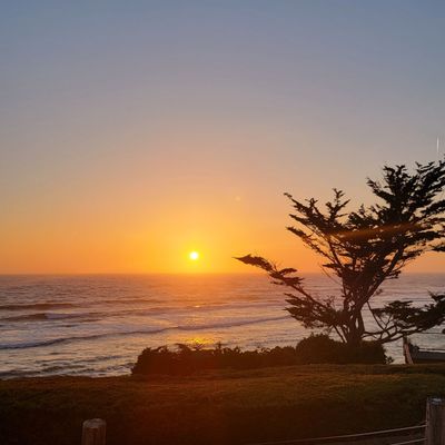 Moss Beach Distillery by null