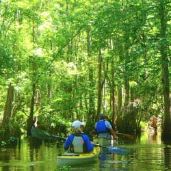 The Paddling Center At Shingle Creek - Experience the beauty that is Shingle Creek!