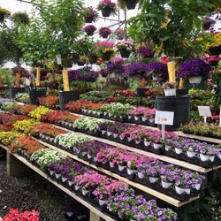 Ariemma's Garden Center