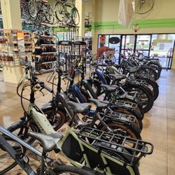 Alan's Bicycle Center - Bill Lewis checking out the Alan's Bike Center in Vero Beach.