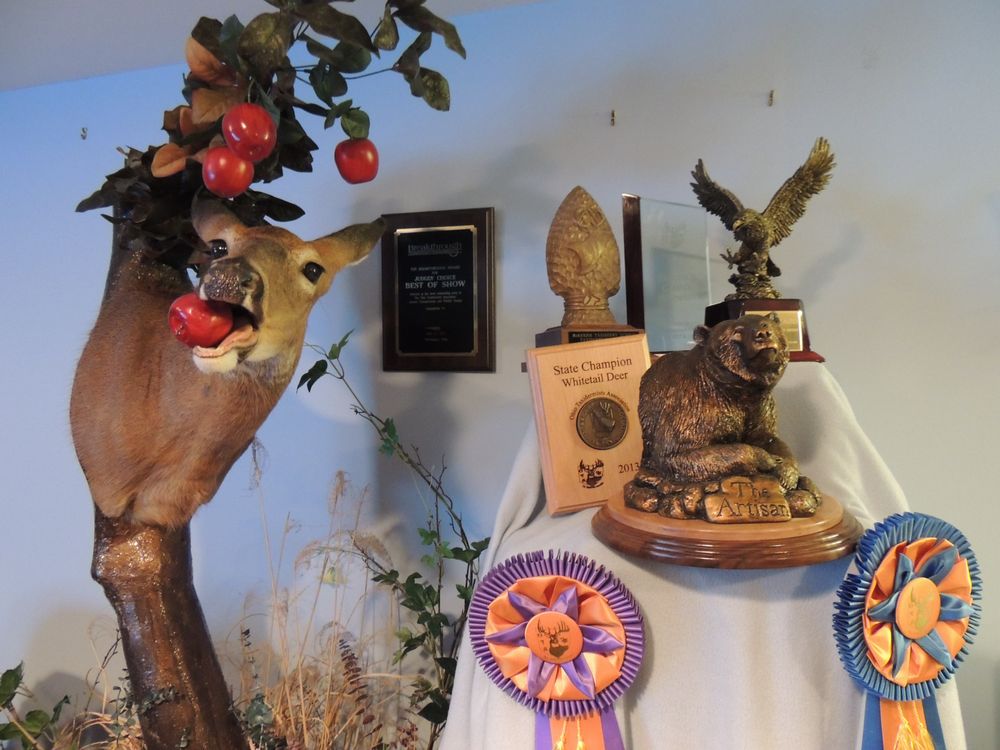 Brian Knight Taxidermy - taxidermy in Akron, OH