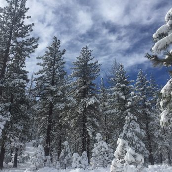 Mount Pinos - Hiking Near Me - Frazier Park, California Mount Pinos - Hiking Near Me - Frazier Park, California