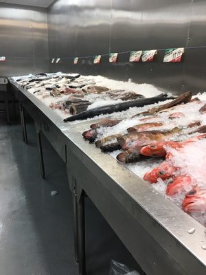 Osler Fish Market by null