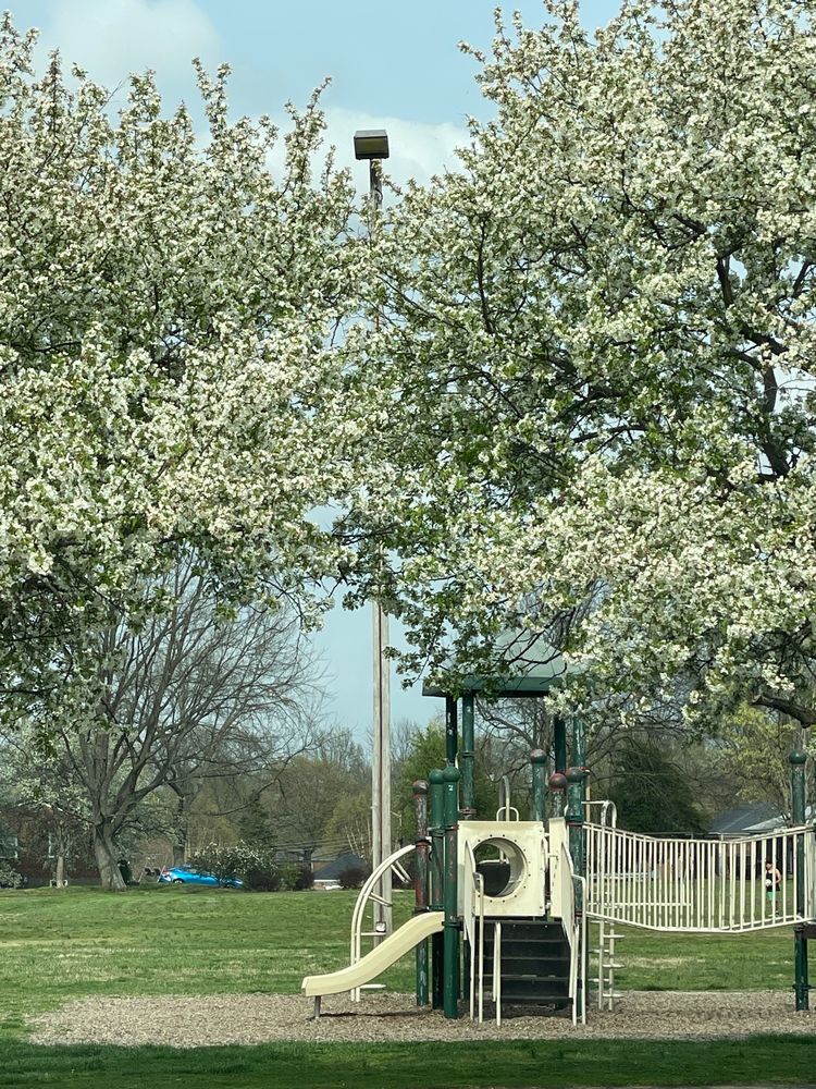 KLONDIKE PARK 3809 Klondike Ln, Louisville, Kentucky Parks Yelp