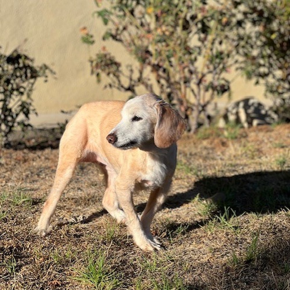 Our sweet Salli. Our sweet Salli.