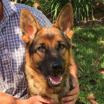 Performance K9 Training - Private Dog Training San Diego, Dog Trainers In San Diego, PerformanceK9Training.com - Pet Training Near Me - Bonsall, California