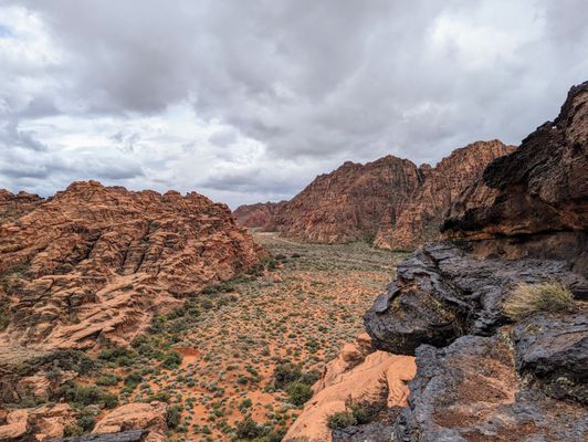 Snow Canyon State Park by null