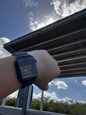 Flamingo Campground by null