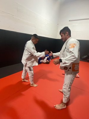 Sweet Science Boxing & MMA by null