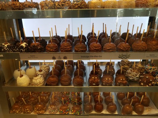 Rocky Mountain Chocolate by null