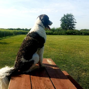 Batavia Bark Park - Pets Near Me - Batavia, Illinois