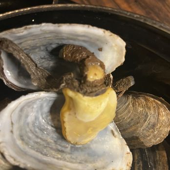 Testa's Bar & Grill - Here's a clam with that weird black tip growing off it. Looked so unappetizing. Sorry. - Seafood Near Me - Bar Harbor, Maine Testa's Bar & Grill - Here's a clam with that weird black tip growing off it. Looked so unappetizing. Sorry. - Seafood Near Me - Bar Harbor, Maine