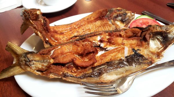 KUYA’S ASIAN CUISINE - 608 Photos & 652 Reviews - 460 San Mateo Ave ...