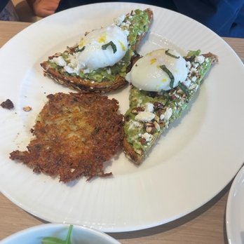 Zest Cafe - Farm Egg & Avocado Toast - - Coffee & Tea Near Me - Dallas, Texas