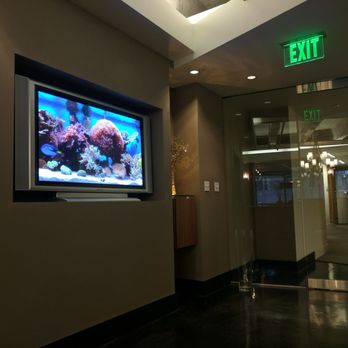 2TH Studio - Lobby with tv fish tank - General Dentistry Near Me - Seattle, Washington