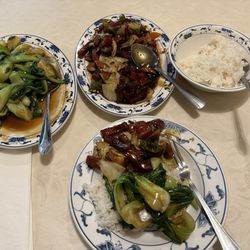 Imperial Chinese Garden - Twice cooked pork, bok choy, steamed rice.