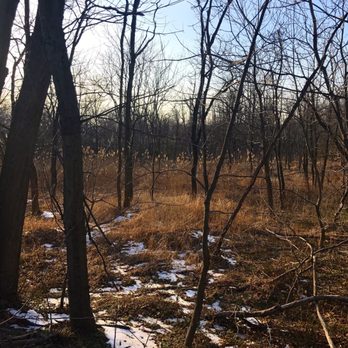 Neshaminy State Park - A view of the forestry during the winter - Hiking Near Me - Bensalem, Pennsylvania