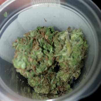 Curaleaf - Cannabis Clinics Near Me - Youngtown, Arizona