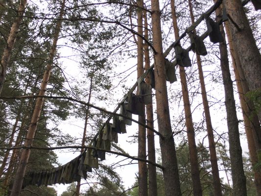 Umedalen skulpturpark by null