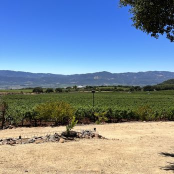 David Arthur Vineyards - a view of a vineyard from a distance - Wineries Near Me - Saint Helena, California David Arthur Vineyards - a view of a vineyard from a distance - Wineries Near Me - Saint Helena, California