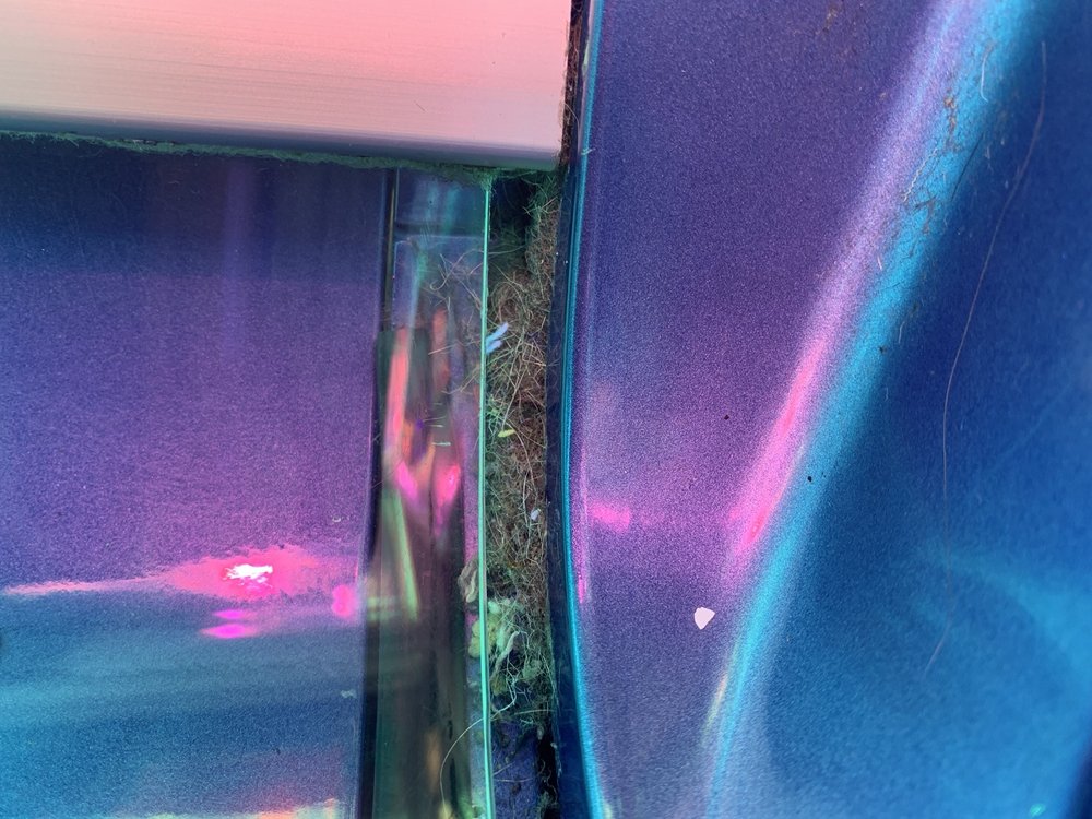 Tanning SUNNY DAZE TANNING SALON 13 Photos & 36 Reviews 429 W