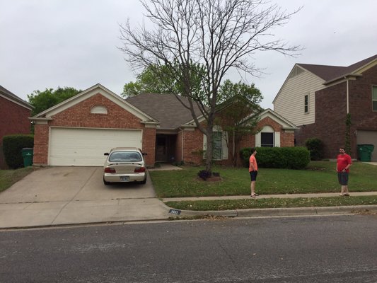 WISE TREE CARE - Updated June 2026 - 20 Photos & 29 Reviews - 1600 ...