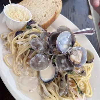 Santa Barbara Shellfish Company - Clam linguini - Seafood Near Me - Santa Barbara, California Santa Barbara Shellfish Company - Clam linguini - Seafood Near Me - Santa Barbara, California