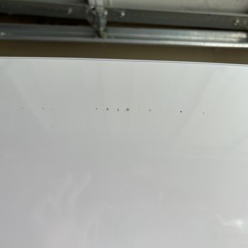 The Home Depot - Paint missing at the top of the freezer door. - Nurseries & Gardening Near Me - Turlock, California The Home Depot - Paint missing at the top of the freezer door. - Nurseries & Gardening Near Me - Turlock, California