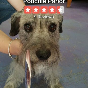 R-Tailz-R-Waggin Too - Pet Groomers Near Me - Kenner, Louisiana R-Tailz-R-Waggin Too - Pet Groomers Near Me - Kenner, Louisiana