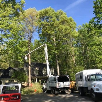 D&A Tree Surgeons - Tree Services Near Me D&A Tree Surgeons - Tree Services Near Me
