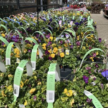 Platt Hill Nursery - Colours galore! - Nurseries & Gardening Near Me - Carpentersville, Illinois Platt Hill Nursery - Colours galore! - Nurseries & Gardening Near Me - Carpentersville, Illinois