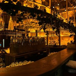 House Limerick - Cool bar