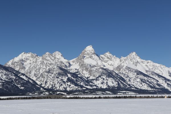 Backcountry Safaris by null