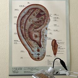 Asia America Acupuncture & Herb Institute