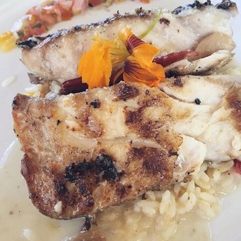 Ocean Grill - Mahi-mahi - Steakhouses Near Me - Puerto Vallarta, JAL