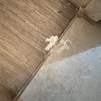 Bad Boy Professional Handyman Services - Handyman Near Me