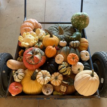 Bishop's Pumpkin Farm - Christmas Trees Near Me - Wheatland, California Bishop's Pumpkin Farm - Christmas Trees Near Me - Wheatland, California