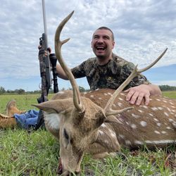 Razzor Ranch - Axis buck