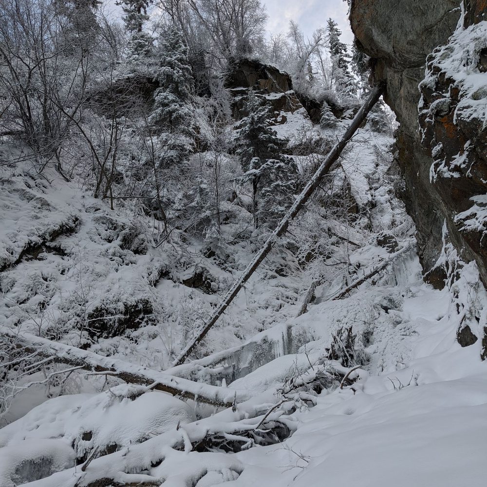 Pioneer Falls - Going up - Hiking Near Me - Palmer, Alaska