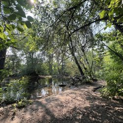 Julia Davis Park - Greenbelt along the park