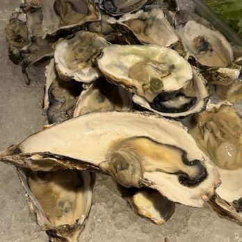 Milpitas Buffet - These look a little squishy for my conservative taste. - Buffets Near Me - Milpitas, California