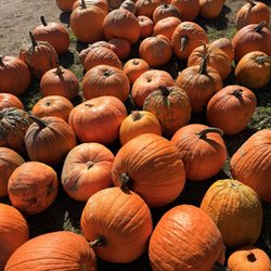 Schwallier's Country Basket