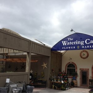 THE WATERING CAN FLOWER MARKET - 39 Photos & 11 Reviews - 3711 King ...