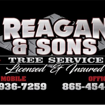 Reagan & Sons Tree Service - 15 years experience LICENSED AND INSURED - Tree Services Near Me - New Market, Tennessee Reagan & Sons Tree Service - 15 years experience LICENSED AND INSURED - Tree Services Near Me - New Market, Tennessee