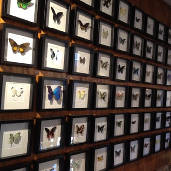 Hutspot - Cafes Near Me - Amsterdam, New Hampshire